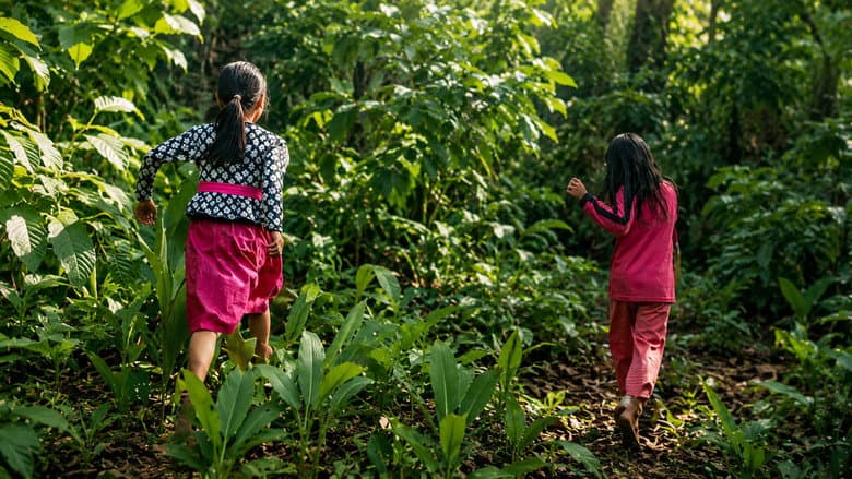Persahabatan Masa kecil 2 still