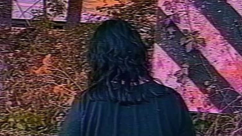 The McKinney Family Home Videos still
