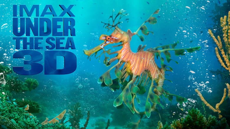 Under the Sea 3D still