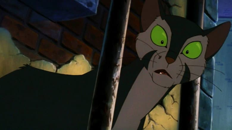 Felidae still