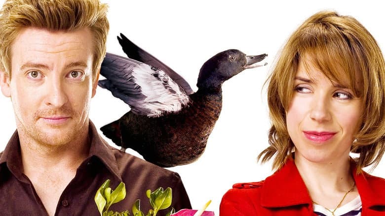 Love Birds still