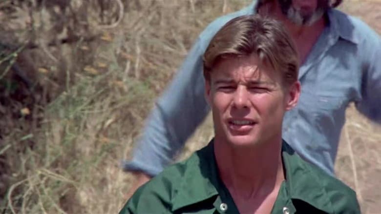 Vigilante Force still
