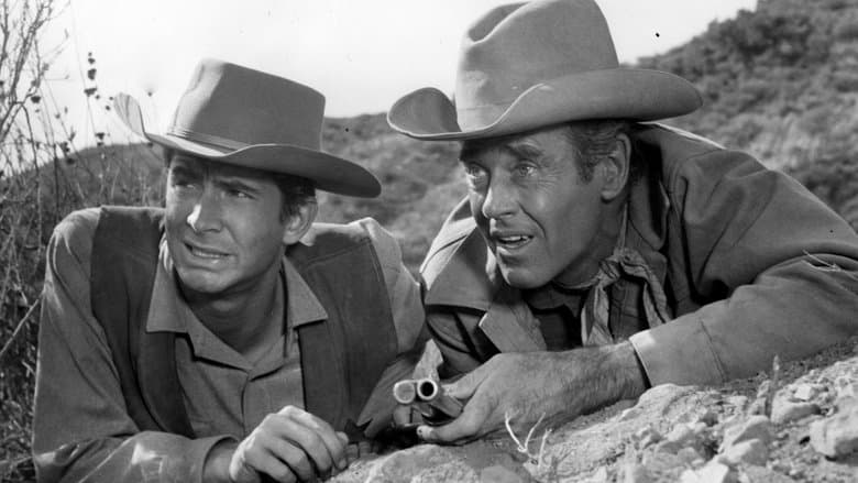 The Tin Star still