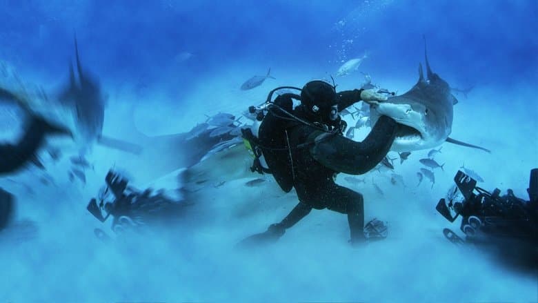 Man vs. Shark still