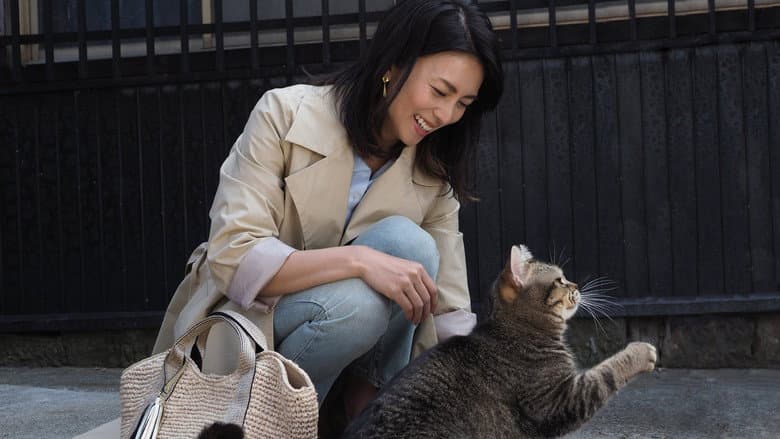 The Island of Cats still