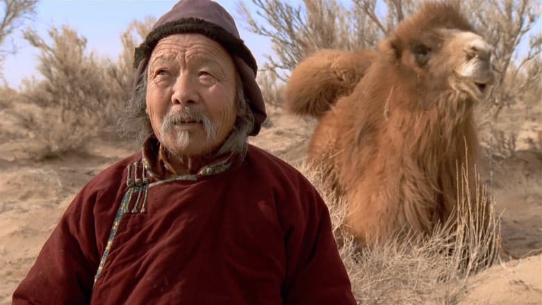 The Story of the Weeping Camel still