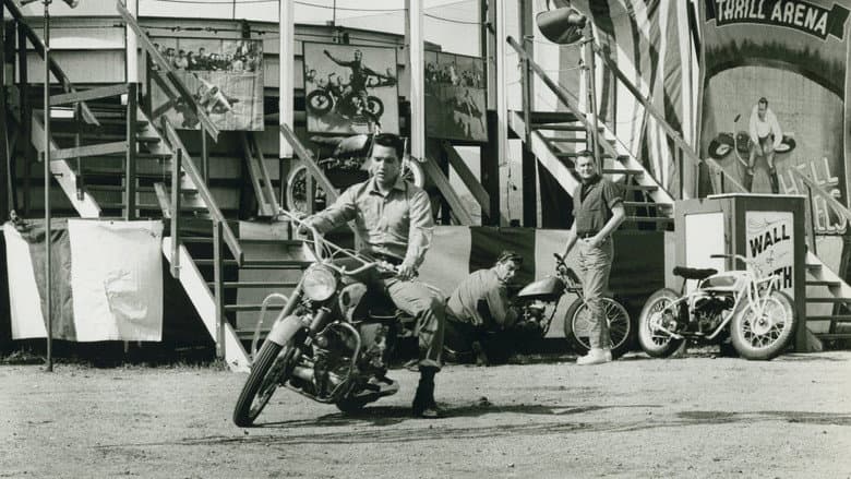 Roustabout still