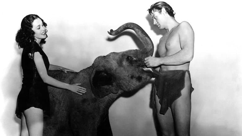 Tarzan Finds a Son! still