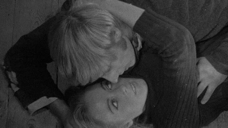 Nightbirds still