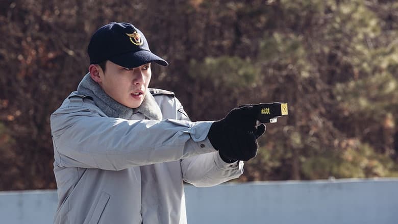 Midnight Runners still