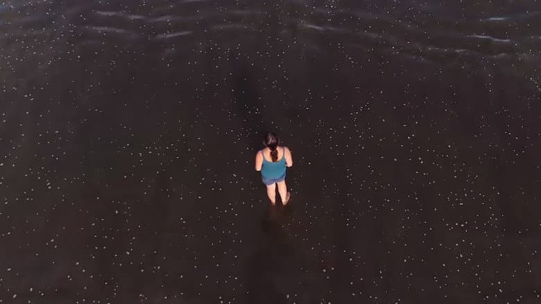 The Most Unknown still
