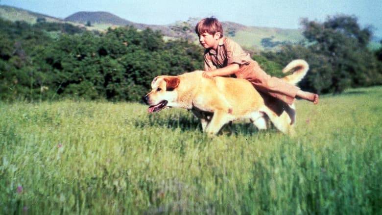 Old Yeller still