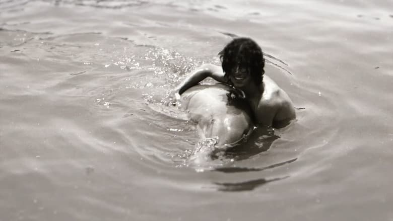 Dolphin Lover still