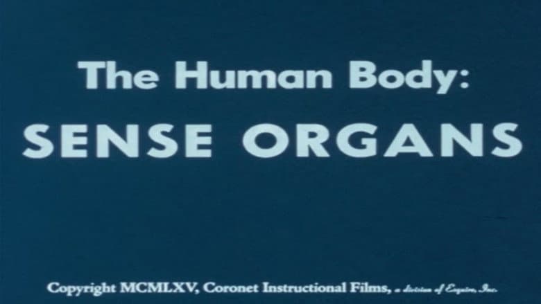 The Human Body: Sense Organs still