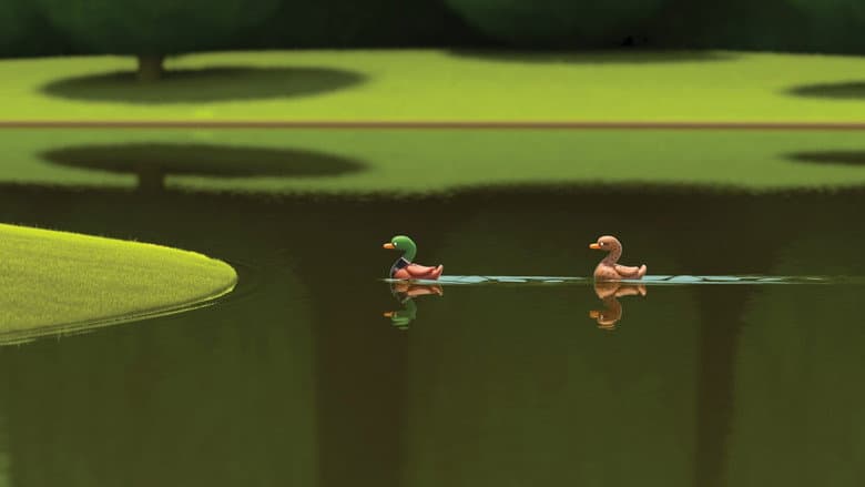 DUCKS still