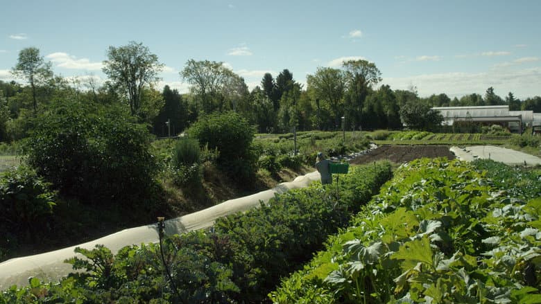 La ferme et son état still