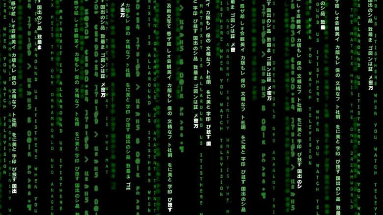 The Matrix Reloaded still