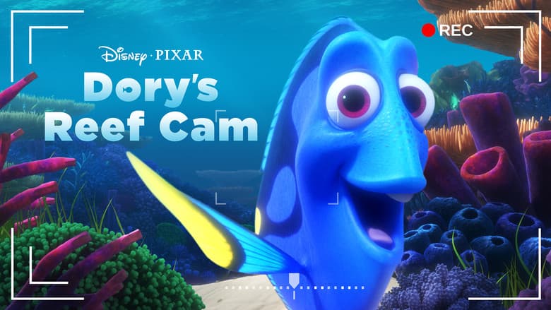 Dory's Reef Cam still