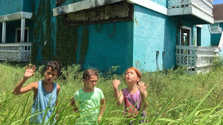 The Florida Project still