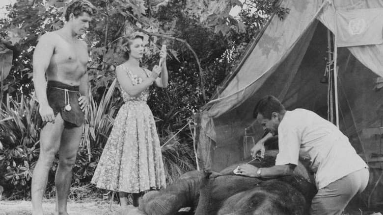 Tarzan's Hidden Jungle still