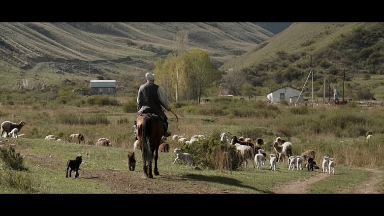 Wings of Kyrgyzstan still