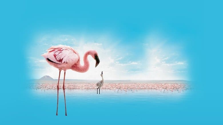 The Crimson Wing: Mystery of the Flamingos still