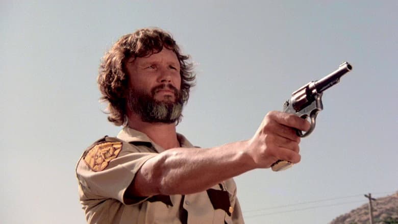 Vigilante Force still