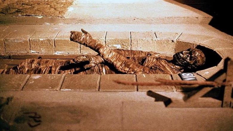 Dawn of the Mummy still