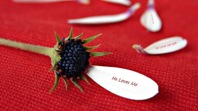 He Loves Me… He Loves Me Not still