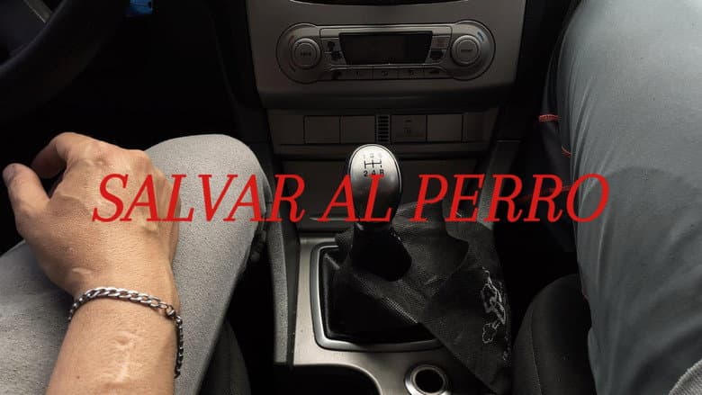 Salvar al Perro still
