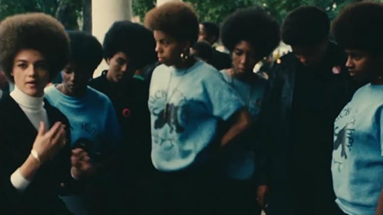 Black Panthers still