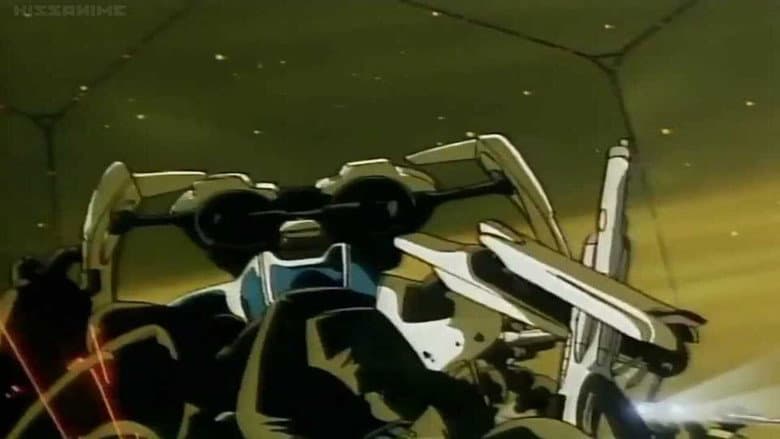 Bounty Dog still
