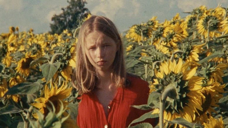 Alice and the Sunflowers still