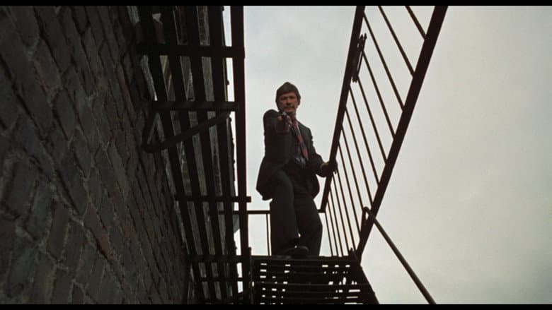The Stone Killer still