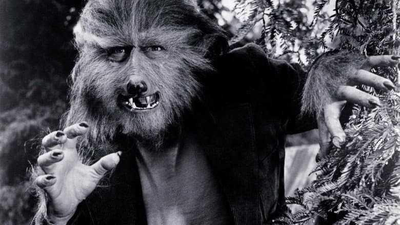 The Boy Who Cried Werewolf still
