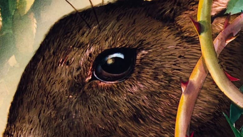 Watership Down still