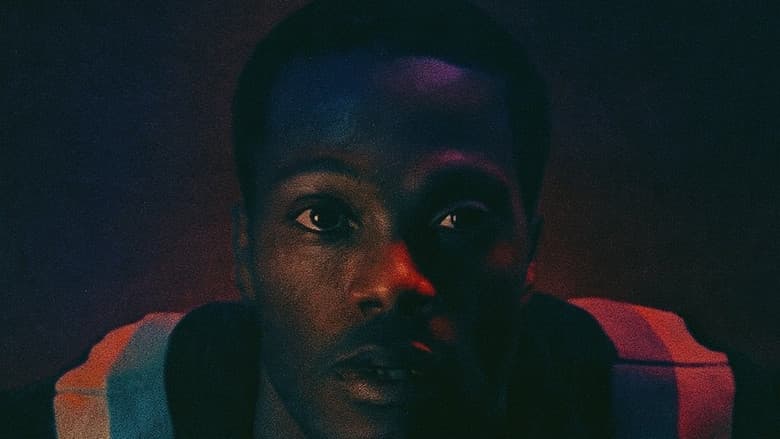 Terrestrial still