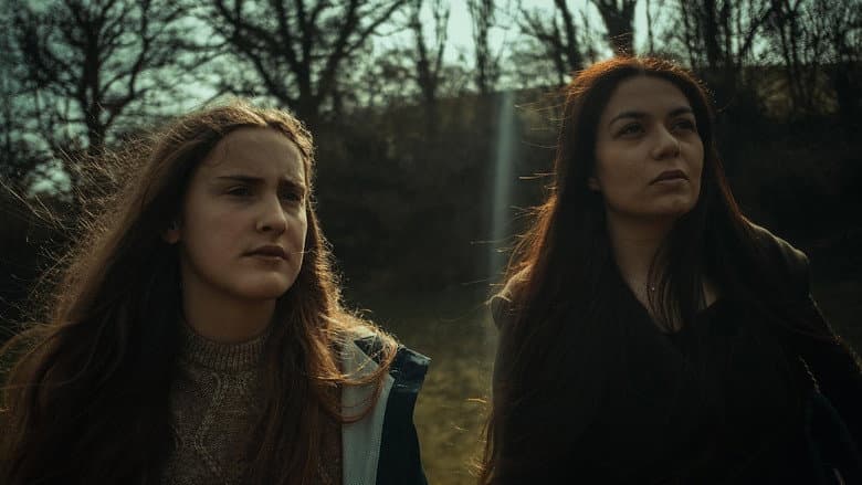 The Winter Witch still