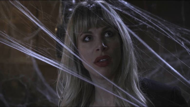 Spider in the Attic still