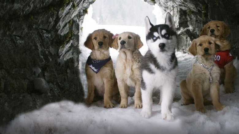 Snow Buddies still