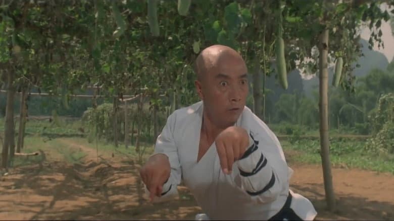 Martial Arts of Shaolin still