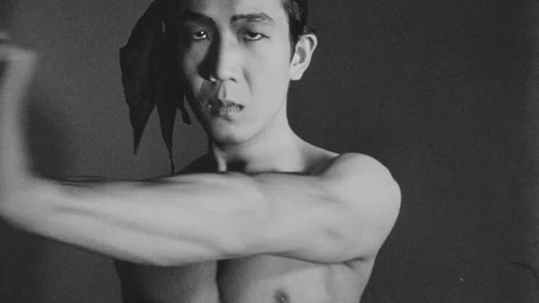 Meditation on Violence still