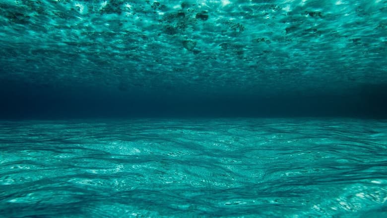OceanWorld 3D still