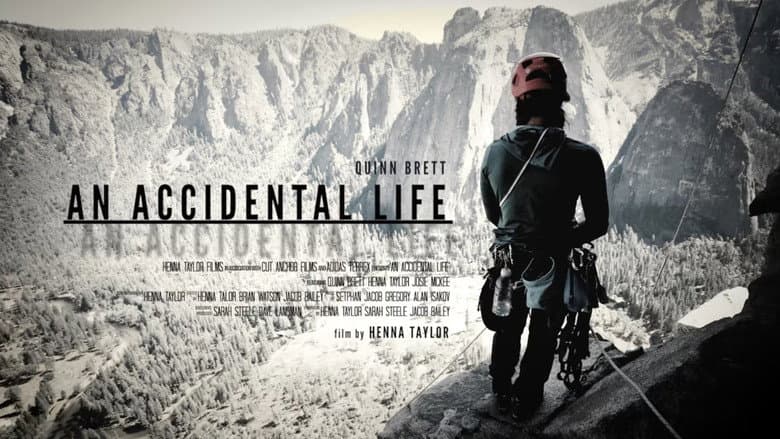An Accidental Life still