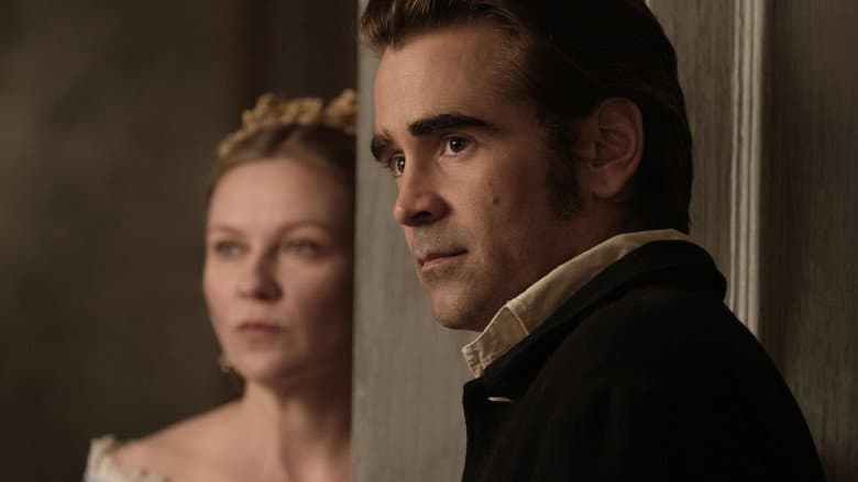 The Beguiled still