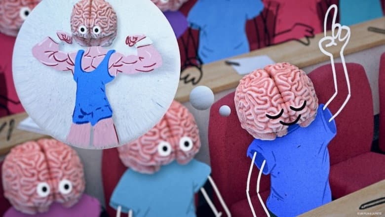 Climate Change: The Brain Paradox still