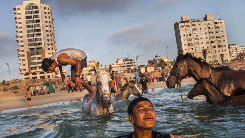 Gaza still