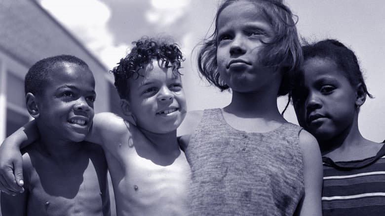 Through a Lens Darkly: Black Photographers and the Emergence of a People still