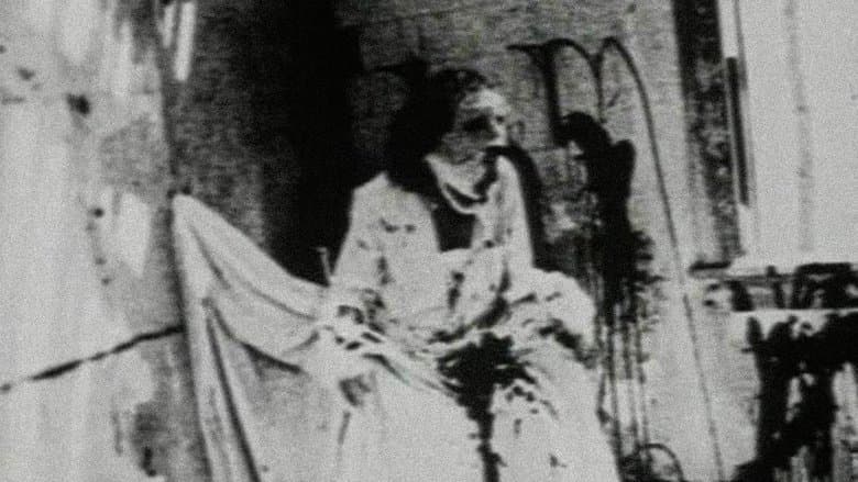 Begotten still