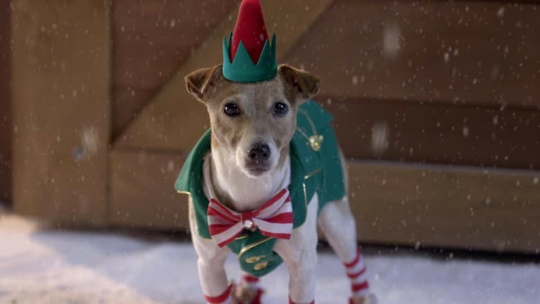 Santa Buddies still